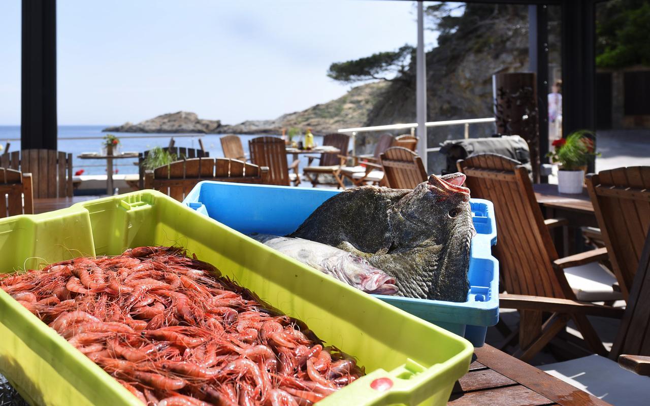 Hotel Sa Tuna Begur Luaran gambar